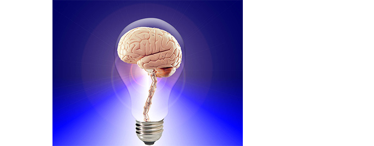 brain in a lightbulb