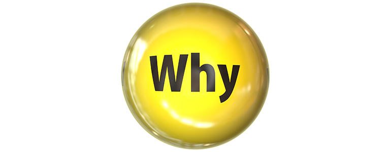 Why button