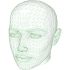 head wireframe