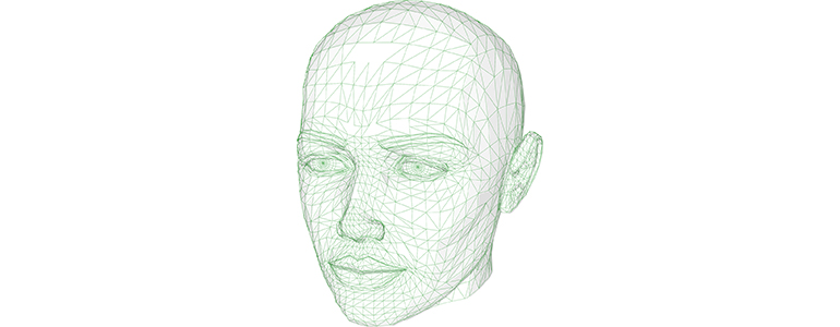 head wireframe